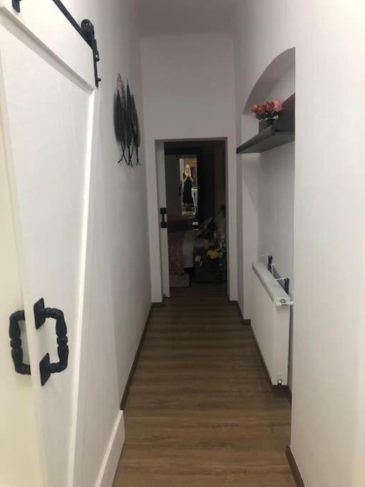 Dumbrava Rosie - Ultracentral Historical Residence 부쿠레슈티 외부 사진